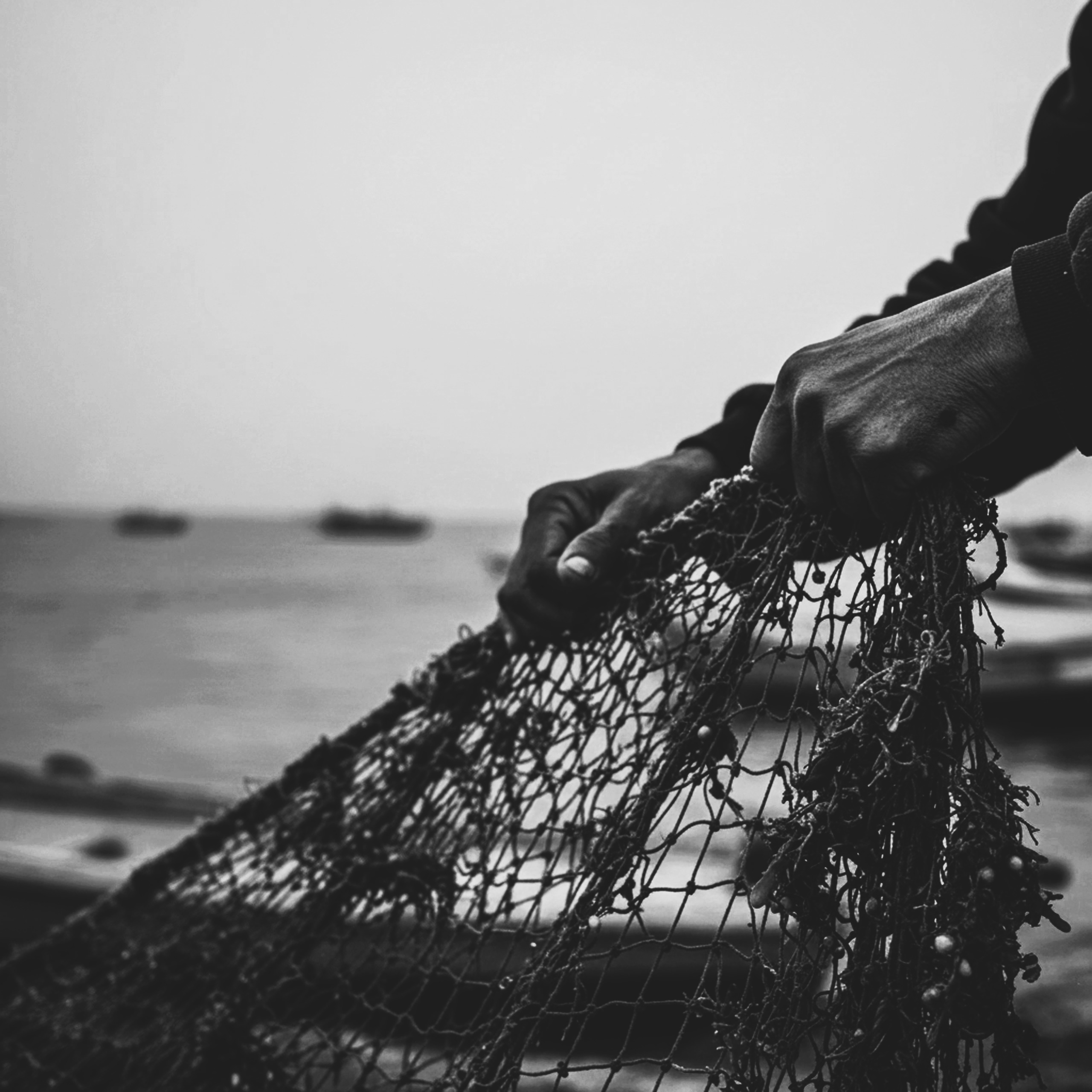 Fisherman hands net